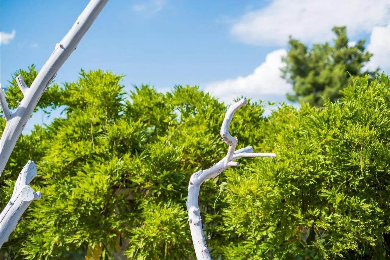 Mediterranean Oasis Villa Trogir Holiday home
